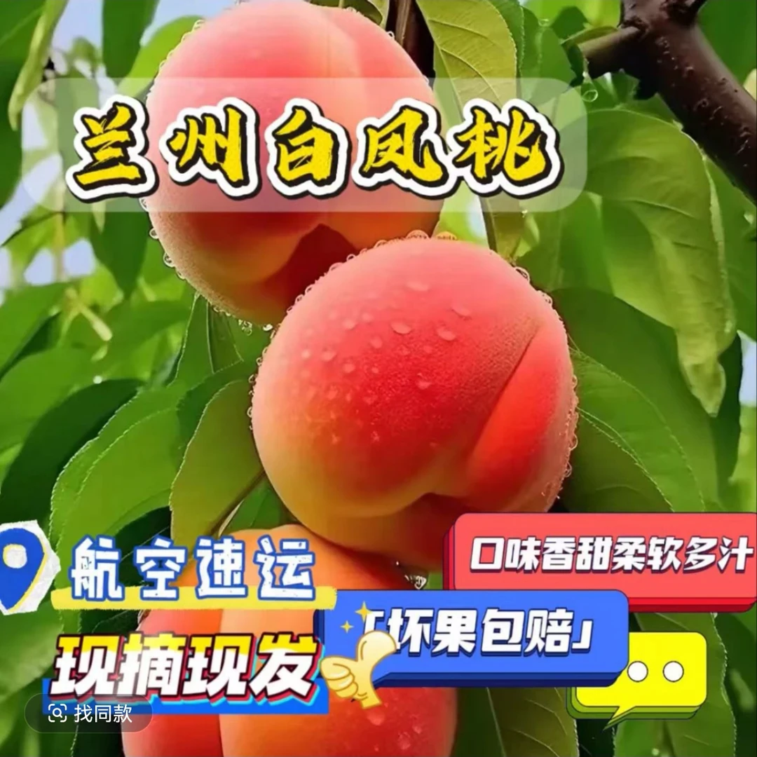 【全国包邮】兰州白凤桃新鲜现摘鲜甜多汁当季应季水果