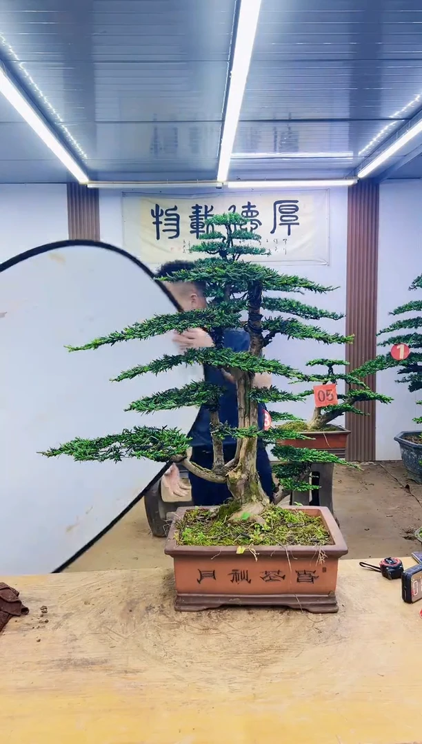 02000000000000000000