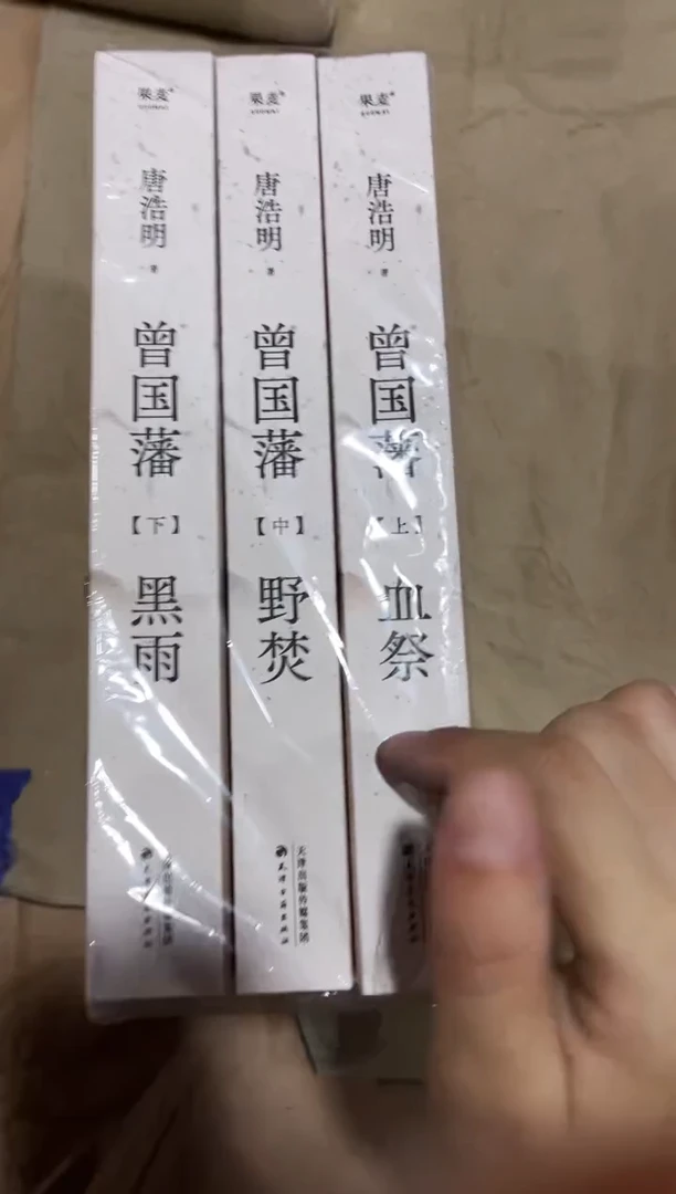 【瑕】曾国藩【黑雨+野焚+血祭】