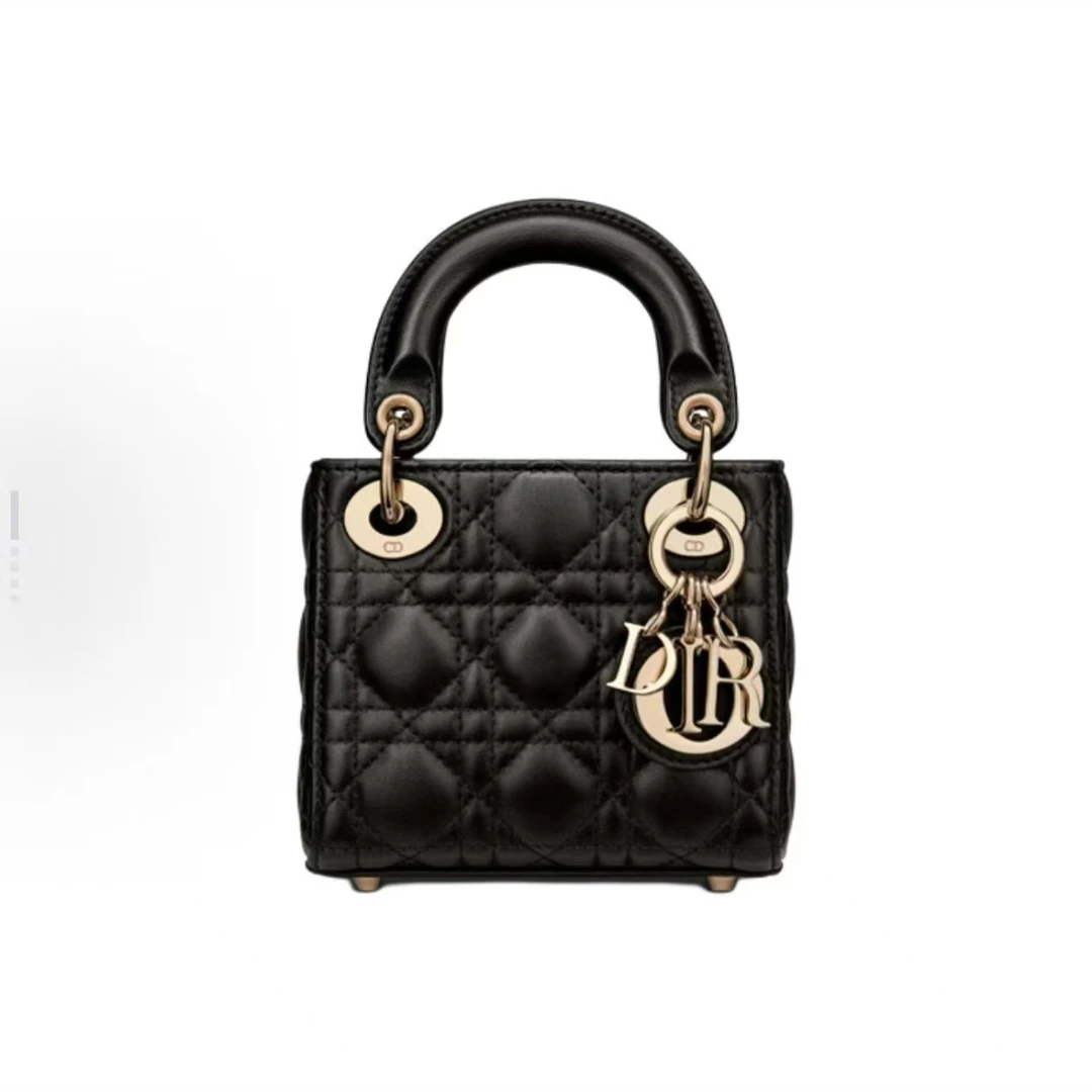 99新 DIOR/迪奥 安洁利严选/BK0145859 单肩包