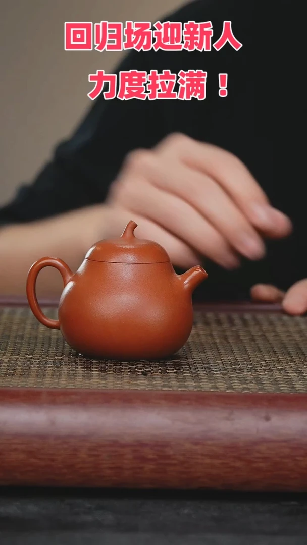 【闪购商品】紫砂茶壶紫砂茶壶