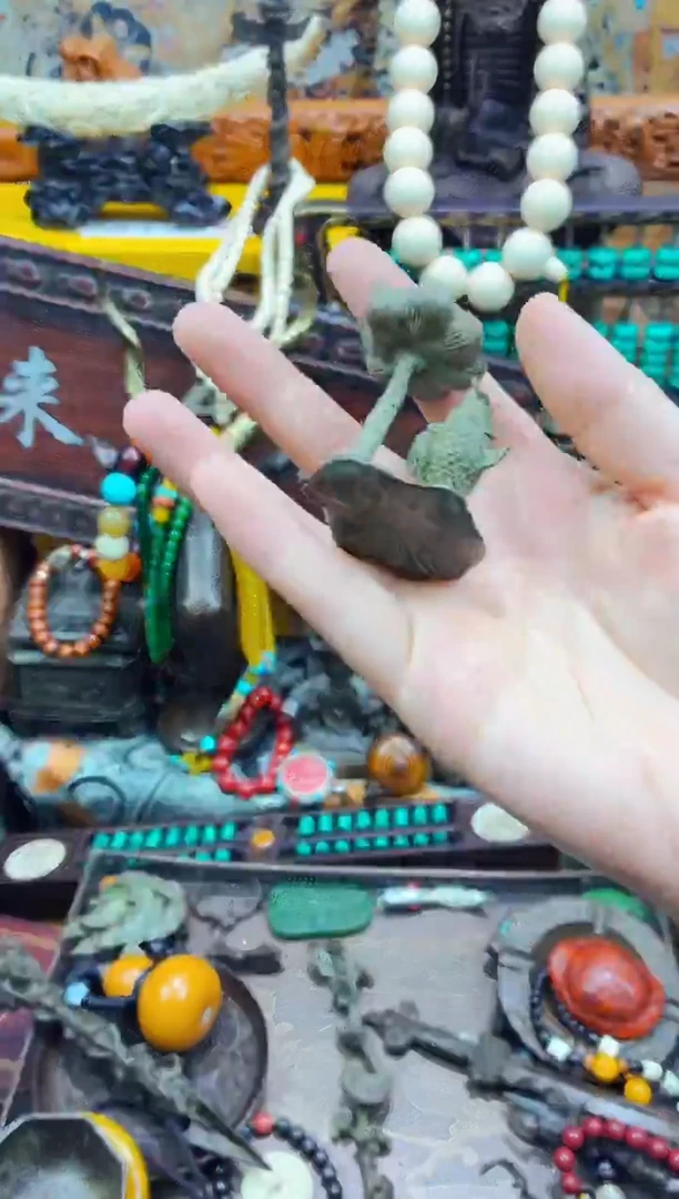 宗起祥瑞直播推荐