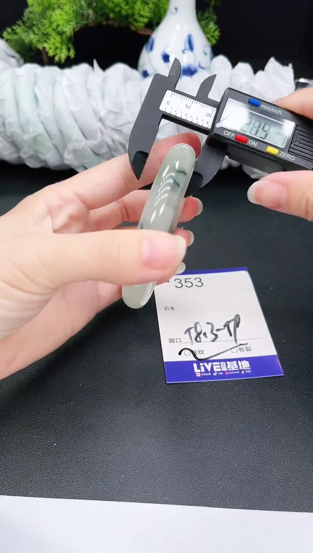 未镶嵌手镯翡翠353