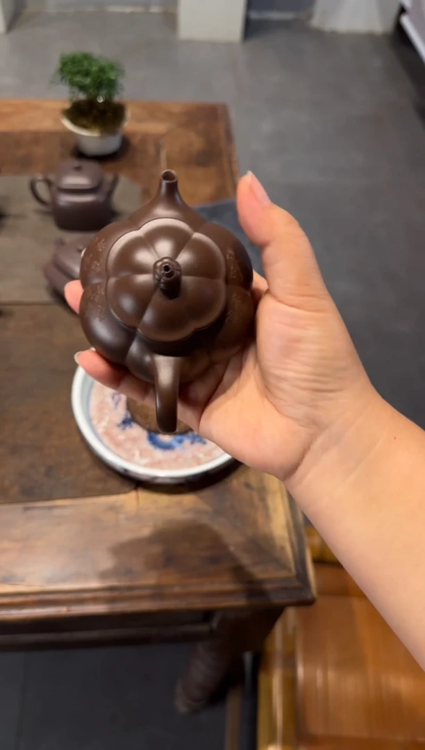 茶壶紫砂新**程大鱼海棠