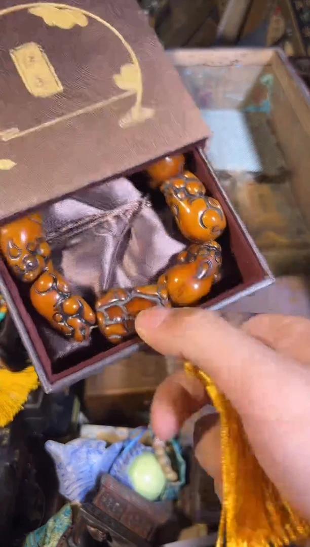 黄杨木1111111111111111111