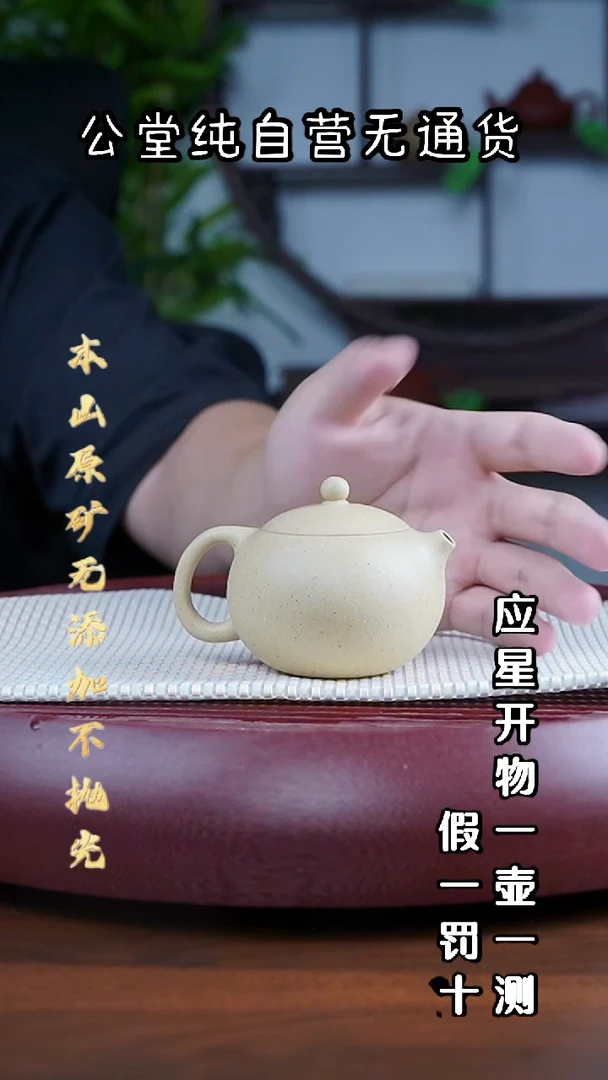 茶壶紫砂大水潭嫩本绿 全手工西施 130cc