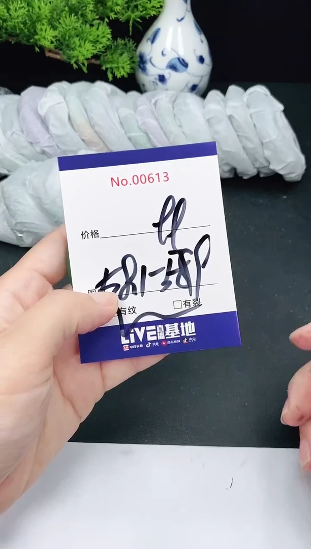 未镶嵌手镯翡翠613