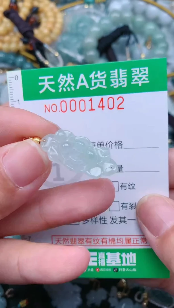 翡翠未镶嵌颈饰.0001402