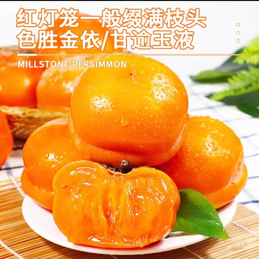 正宗河北保定磨盘大柿子皮薄汁多冰激凌口感流心儿贡柿