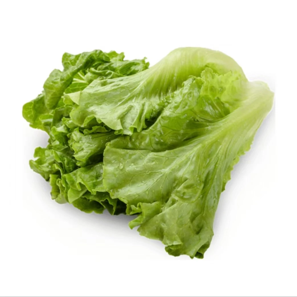 ⑪ • 生菜   500g