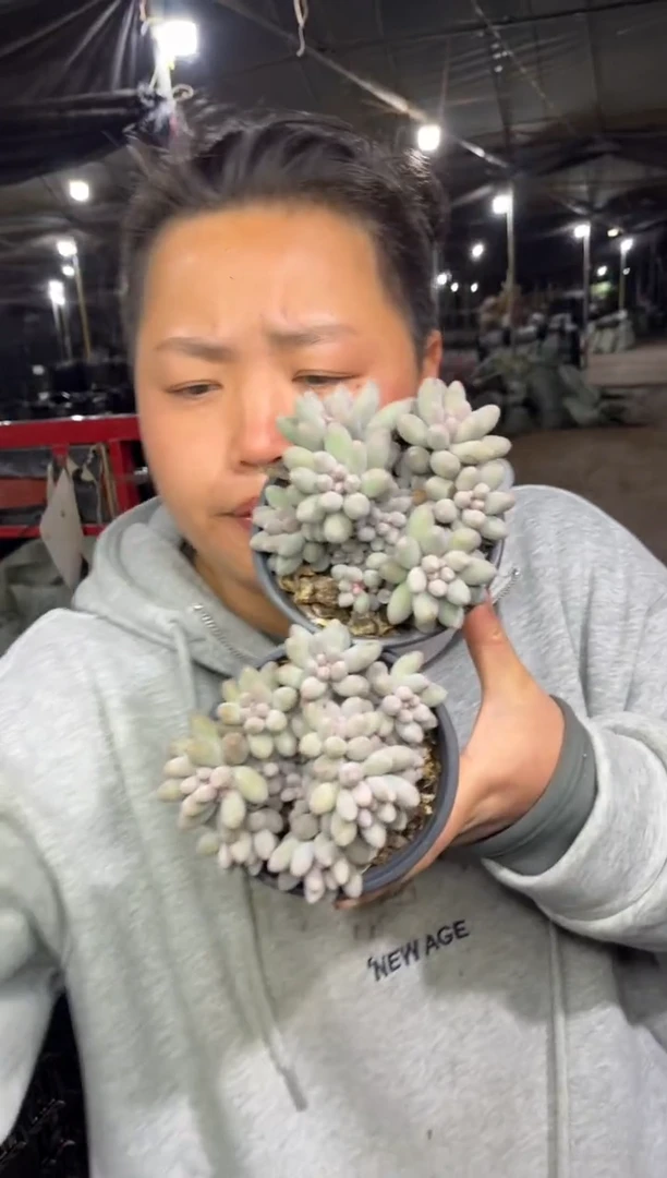 【闪购商品】51-婴儿手指2颗6.8