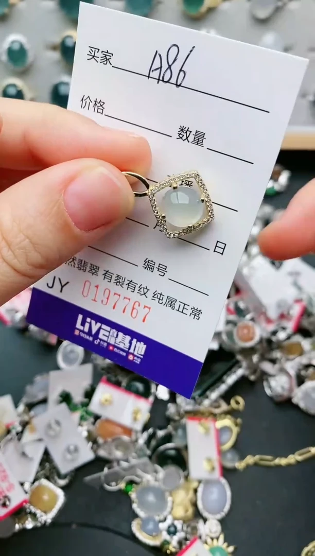 翡翠银S925镶嵌颈饰.....