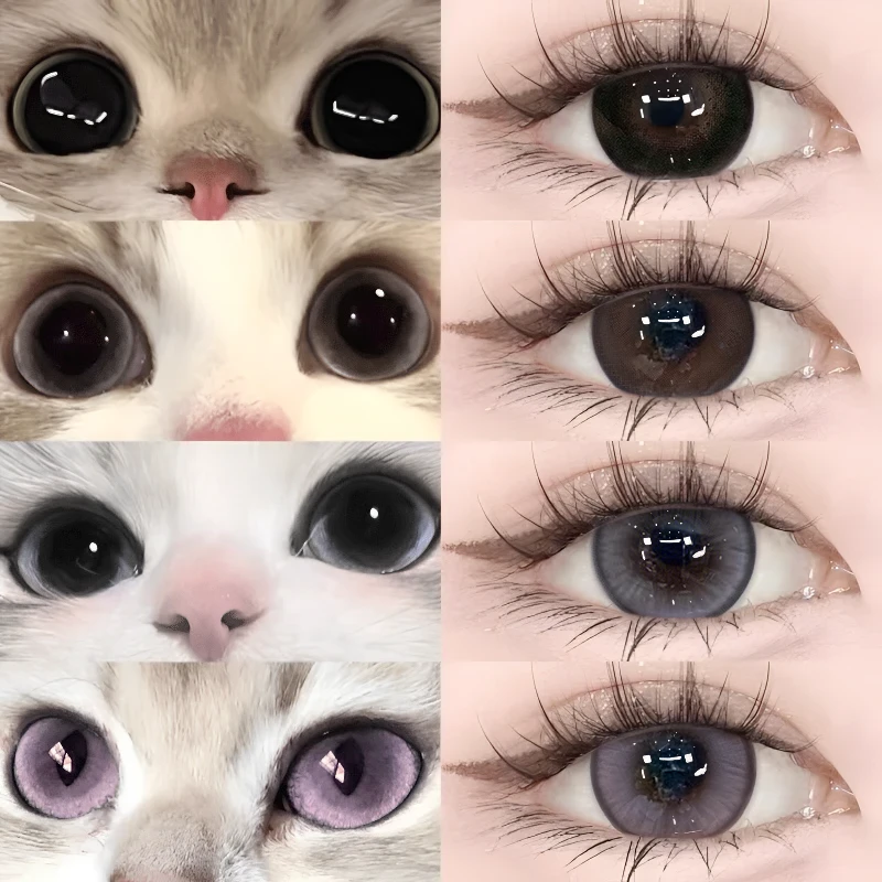 眸可圆溜溜钓系小猫迷迭香紫美瞳大直径半年抛三明治隐形眼镜日常