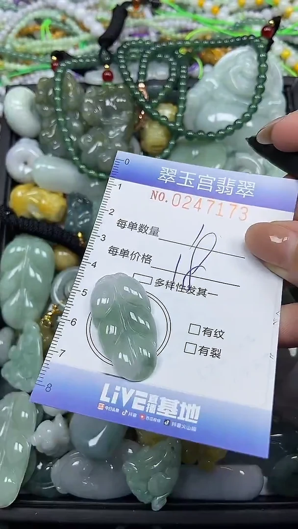 颈饰未镶嵌翡翠闪购C0247173