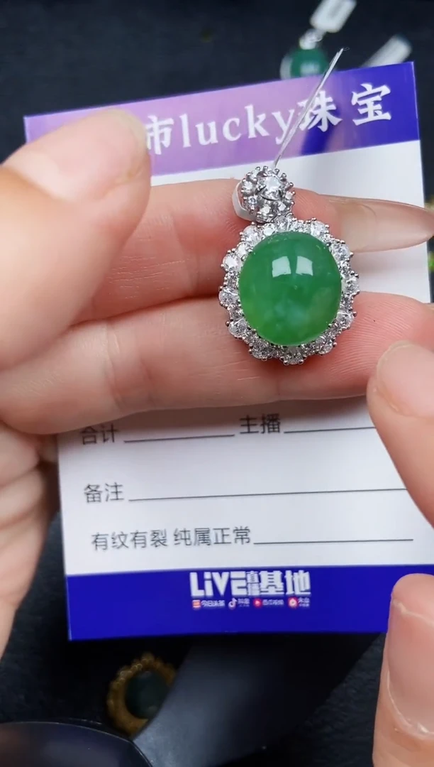 翡翠银S925镶嵌颈饰0245