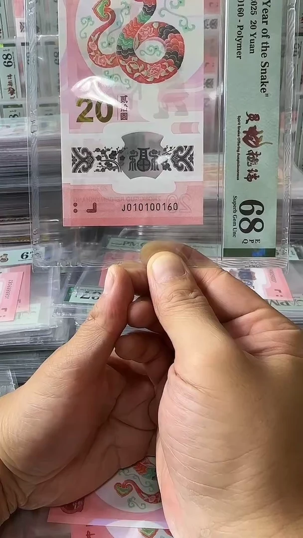 塑料010100160蛇钞单张