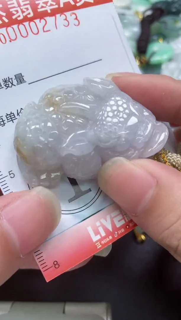 翡翠未镶嵌颈饰闪购0002733