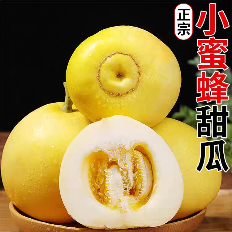 兴甜20小蜜蜂甜瓜头茬新鲜水果当季应季脆甜孕妇水果果园直发整箱