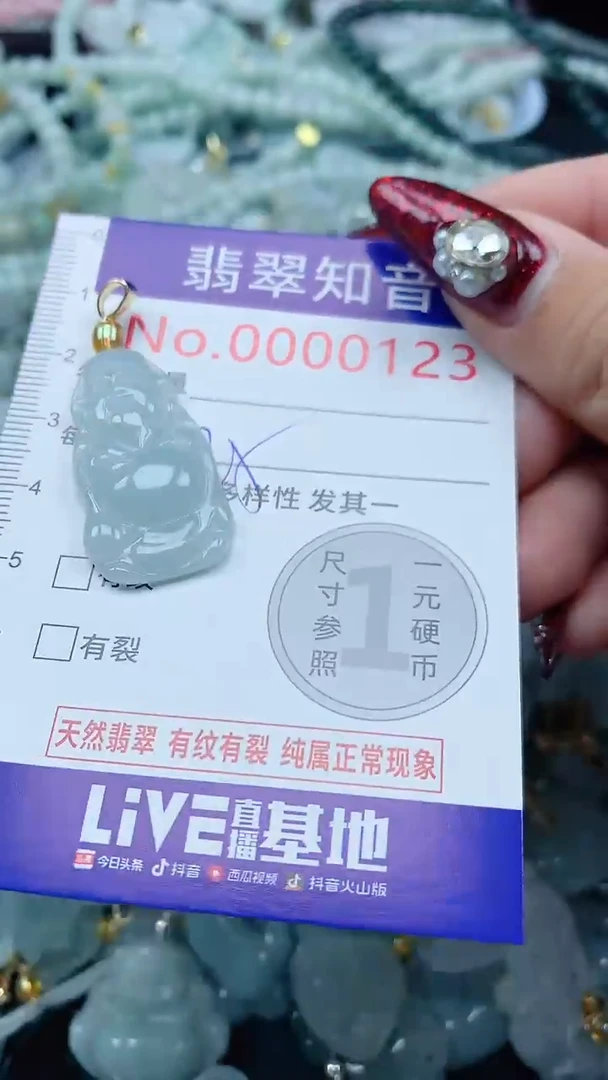 颈饰未镶嵌翡翠123