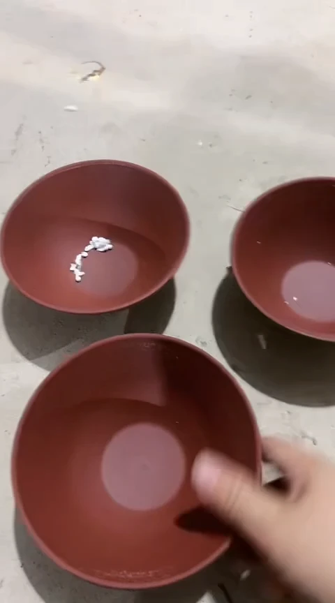 大瑕疵紫砂斗笠碗两个
