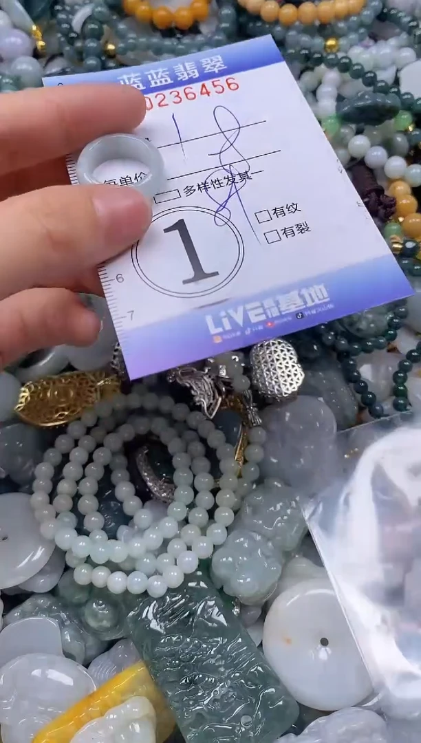 翡翠未镶嵌颈饰闪购0236456