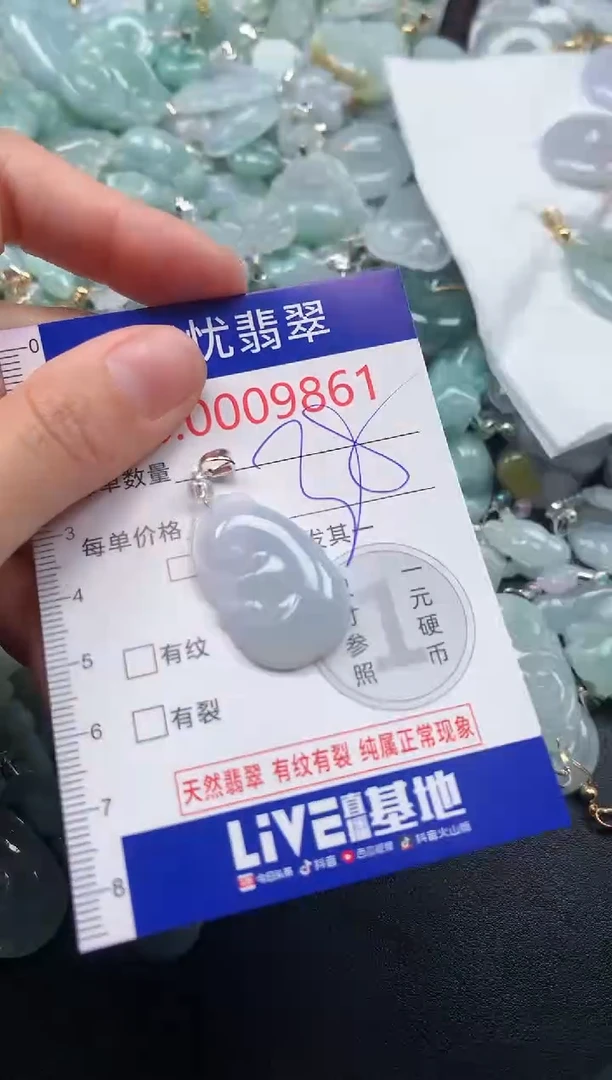 颈饰未镶嵌翡翠9861