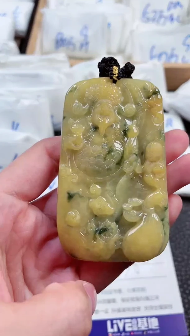 【闪购商品】翡翠颈饰未镶嵌00000361