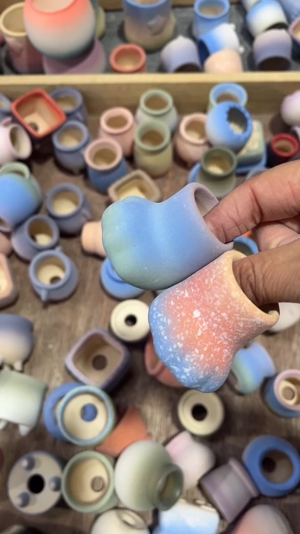 【闪购商品】红陶1111