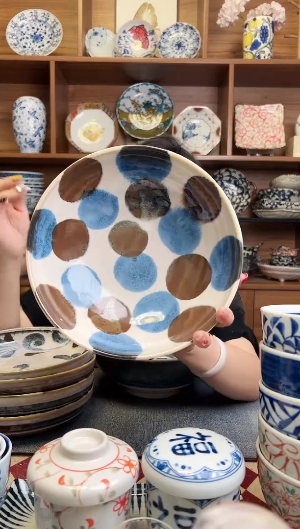 瓷片笔青棕色点打21cm面碗