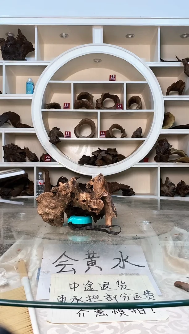 长**O鱼缸造景素材紫柚352