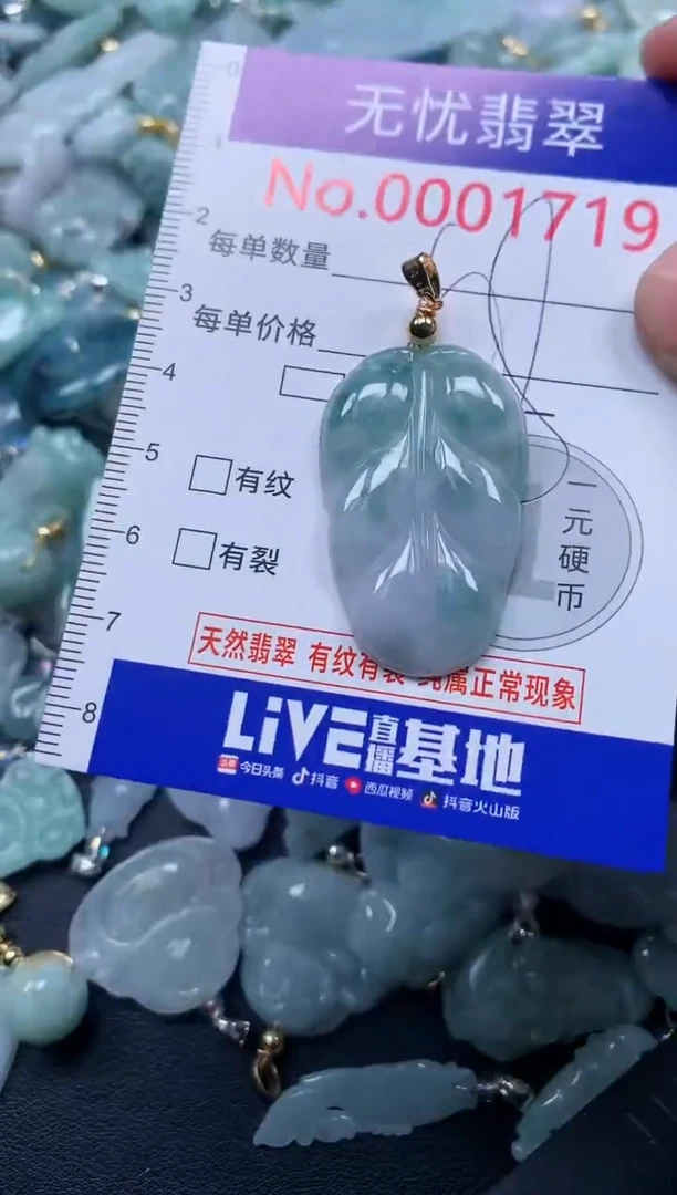 颈饰未镶嵌翡翠1719