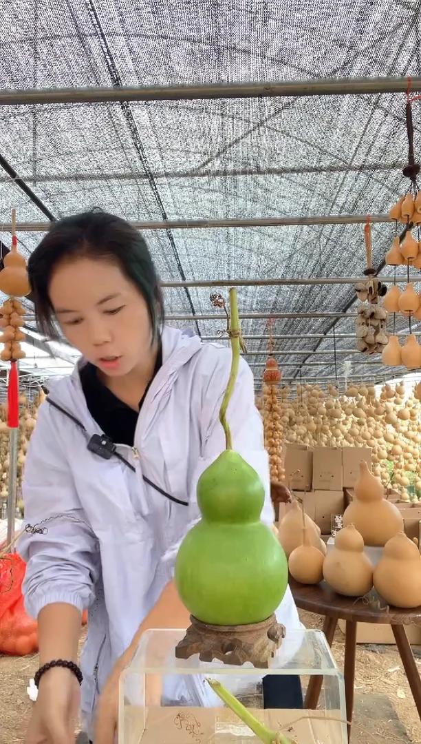929天然葫芦摆件 一物一拍龙头不保售后