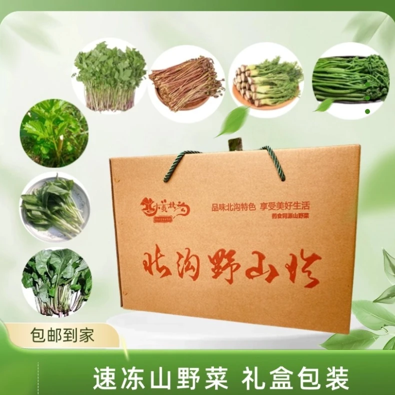 东北特产速冻山野菜礼盒 辽宁新鲜山野菜真空速冻