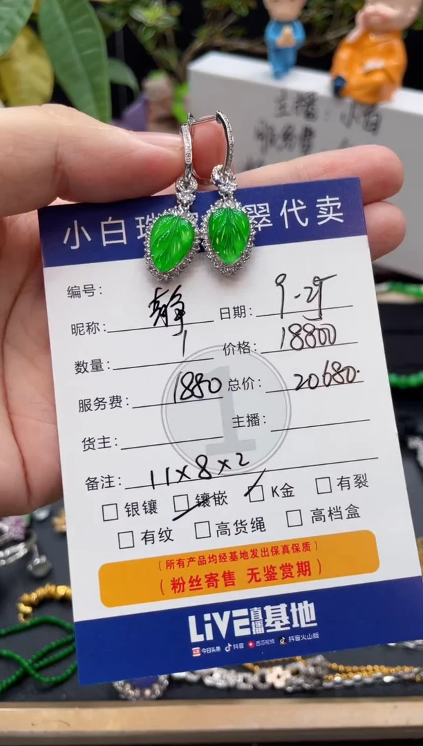吊坠(不含链)18K金镶嵌翡翠静**️耳饰