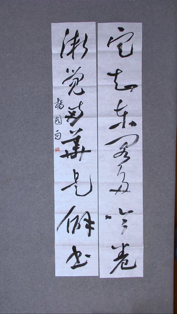 书法杨国雨 山东  138*23*2（6）