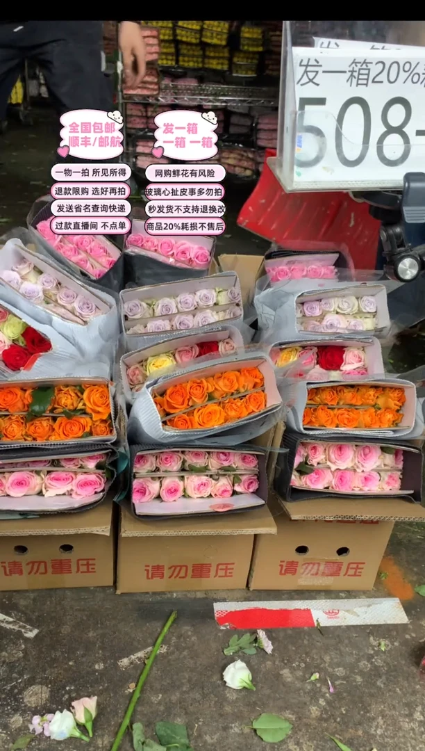 508号♥含20%耗损发一箱