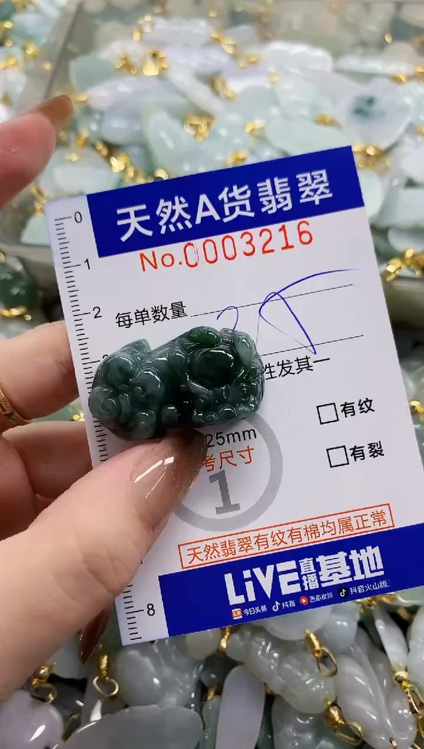 颈饰未镶嵌翡翠天然A货翡翠