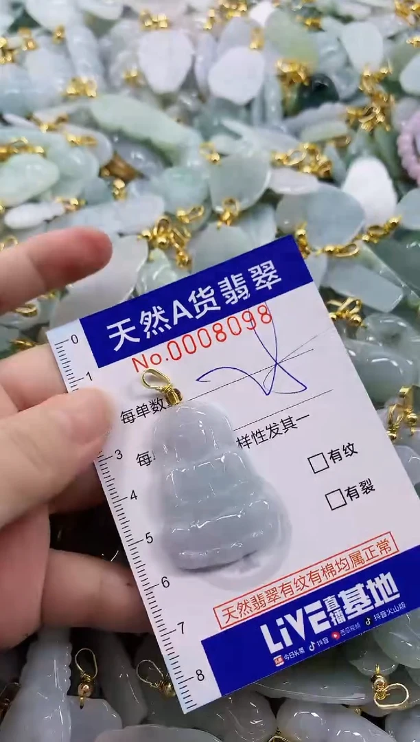 颈饰未镶嵌翡翠天然A货翡翠