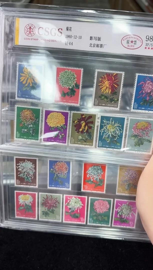 《周总严选》特44 菊花 封装评级
