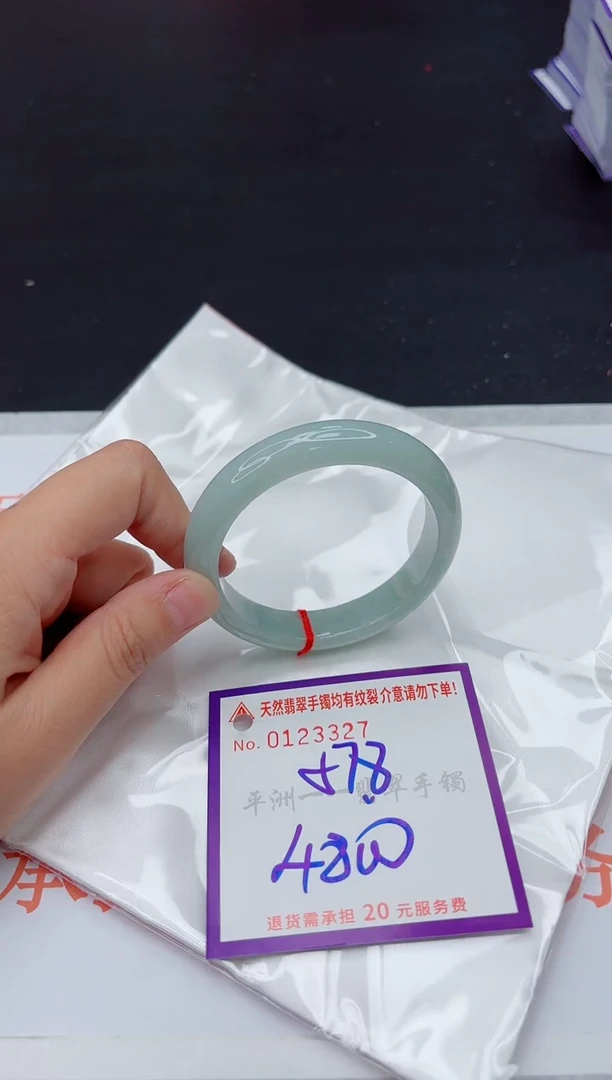 未镶嵌手镯翡翠1111111