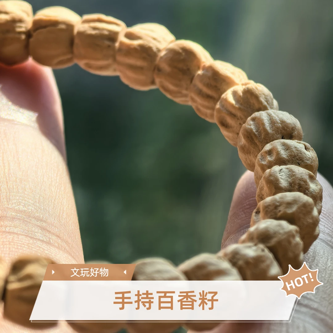 热振文玩百香籽龙脊顺鬼单圈手串百香籽手串