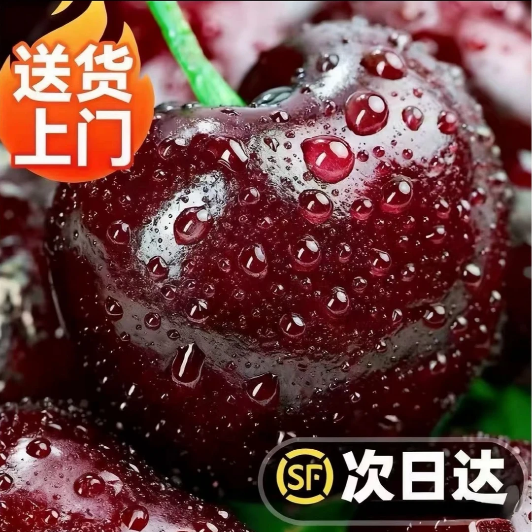 3JDD黑车果王【今天拍明天到】智利空运进口车厘子孕妇水果内附果径卡800g樱桃XM桑提娜樱桃智利共和国