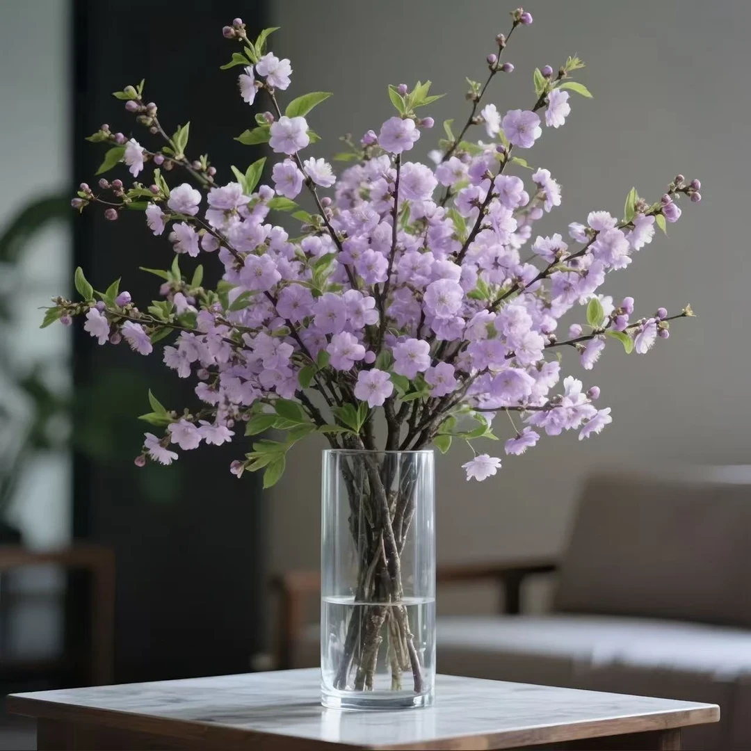 【遇水开花】鲜枝浓香型水培梅花枝带花苞室内耐寒花卉绿植懒人好养