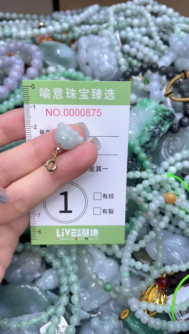 颈饰未镶嵌翡翠0184