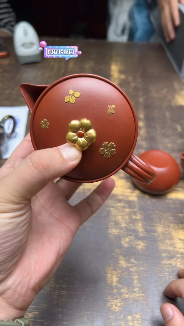 ¥**尔蒋振英壶浚繁花樱花壶