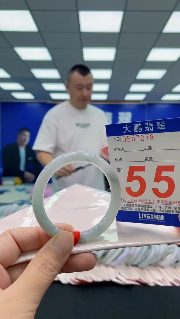 未镶嵌手镯翡翠AAAAAAAAA