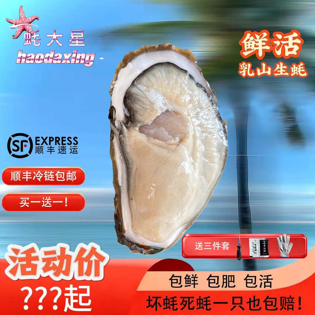 【买1斤送1斤】新鲜正宗乳山生蚝牡蛎冷水蚝个大肉肥鲜活原产地包邮
