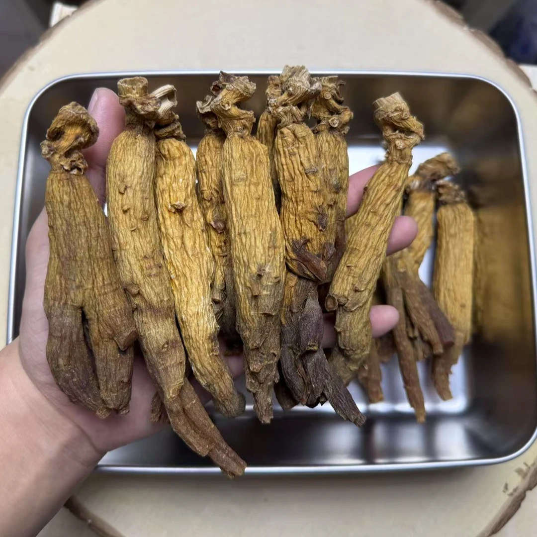 老红参 高年份老红参 大马芽下山货红参 超大支大年份红参