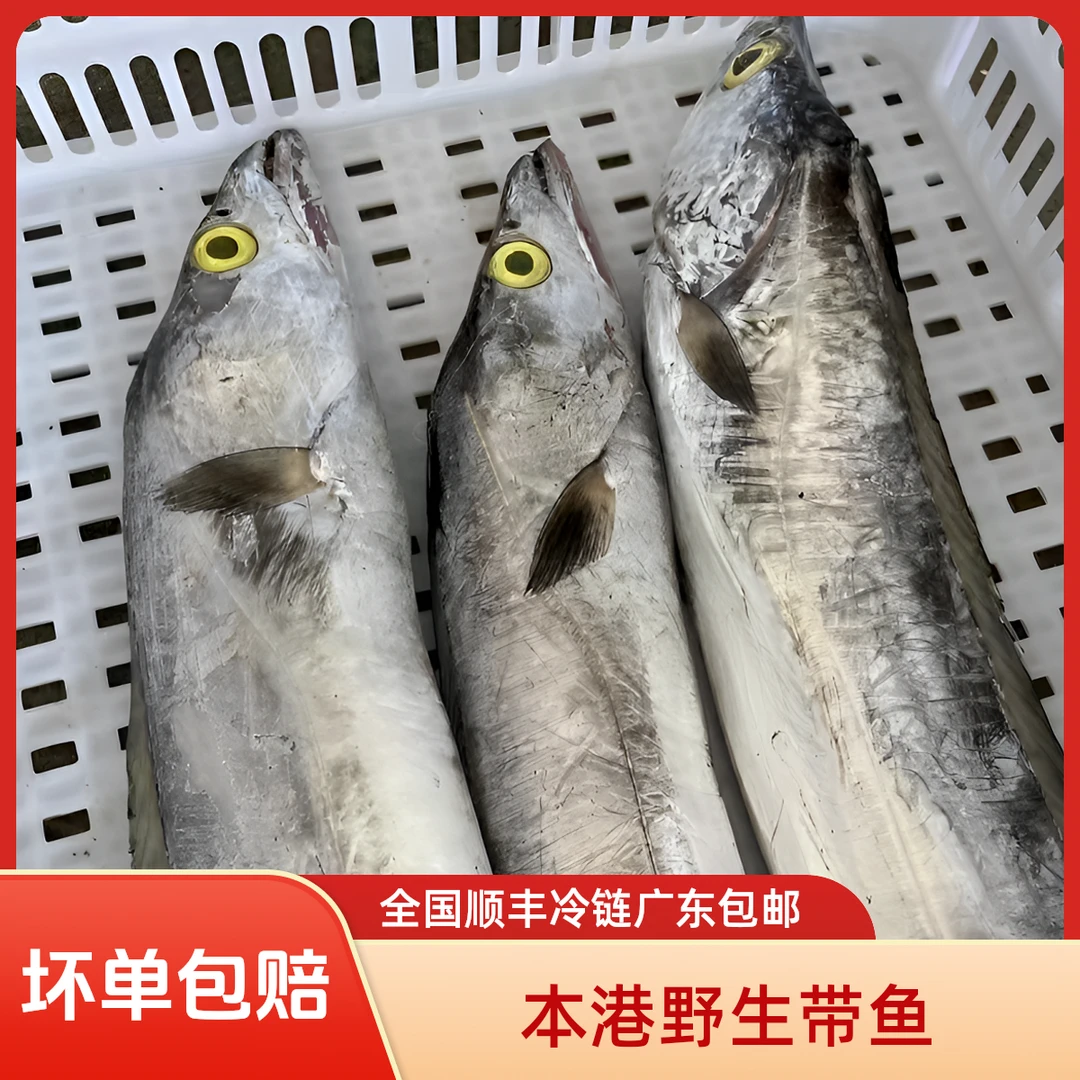 汕尾本港纯天然带鱼
