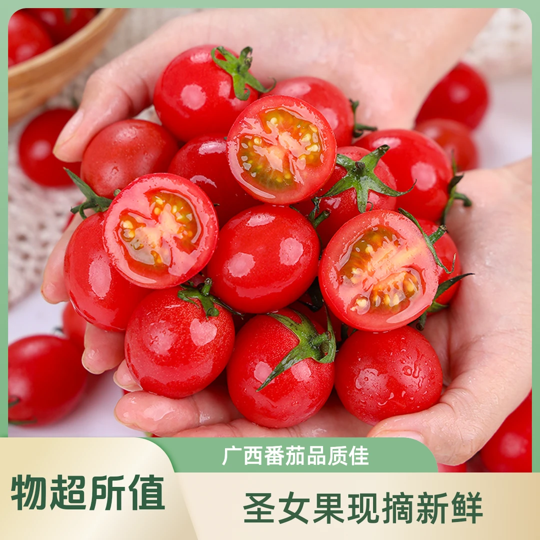 新鲜现摘广西圣女果净重4.7-5斤小番茄中大果九宫格泡沫箱发货